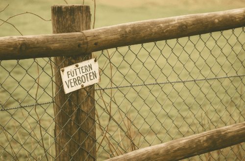 Zerknicktes Schild ‚Füttern verboten‘ an einem Zaun – Symbol für Grenzen und fehlende Fürsorge.